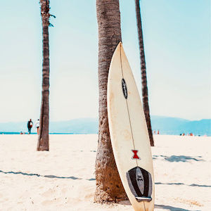 Meet your Posher, Cheyenne